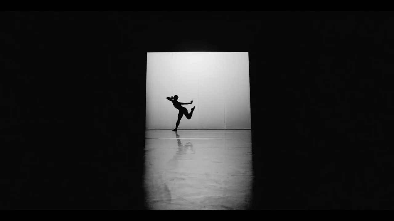 Gauthier Dance – Dying Swans · punchline studio · 3sat